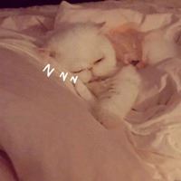 正经又不正经的头像-不正经头像女