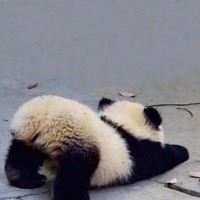 不非主流的头像男生-风格男生头像