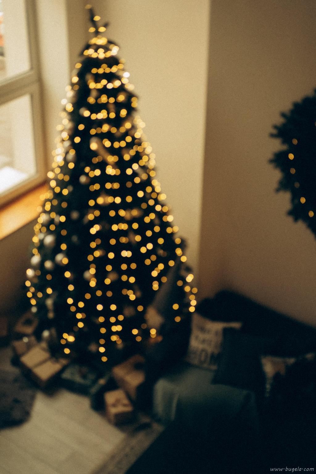 精美漂亮的圣诞树图片