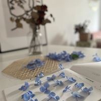 绣球花头像图片|绣球花高清图片背景