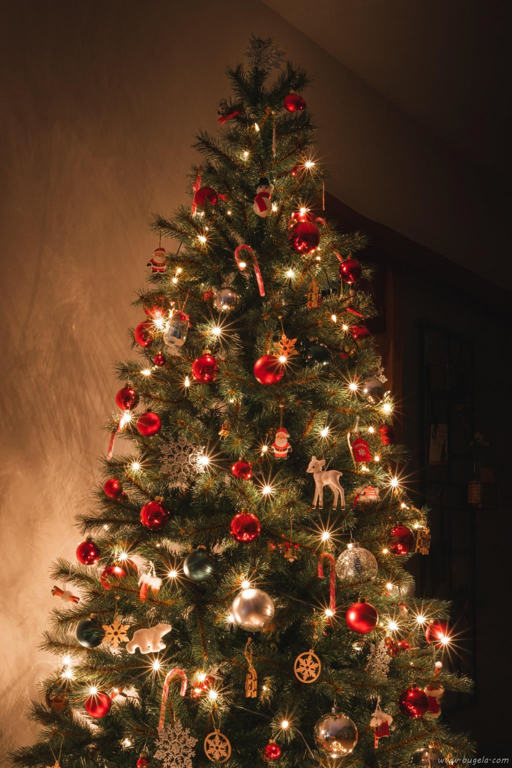 精美漂亮的圣诞树图片