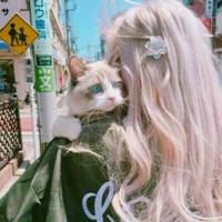 可爱女孩抱猫咪图片（女孩抱着猫的图片什么意思）