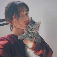 可爱女孩抱猫咪图片（女孩抱着猫的图片什么意思）