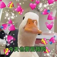 小动物简笔画_小动物图片大全