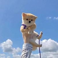 小动物简笔画_小动物图片大全