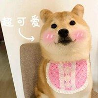 小动物简笔画_小动物图片大全