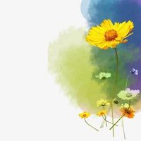 插画头像小清新_插画头像小清新文艺