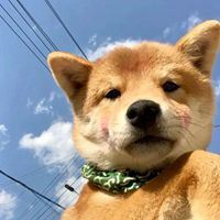 童话都是骗图片大全-童话故事头像