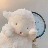 绵羊咩咩咩_小羊咩咩歌词