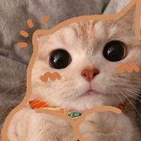 软萌猫咪头像_软绵绵的头像
