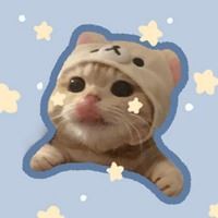 软萌猫咪头像_软绵绵的头像