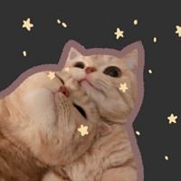软萌猫咪头像_软绵绵的头像