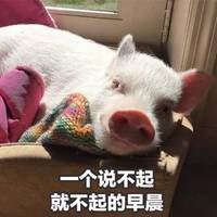 让人看到就想笑的图片 让人一看就想笑的头像图片