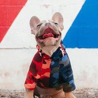 个性女生简单气质头像（女生头像图片 个性）