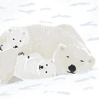 关于青春的插画|青春语录插画