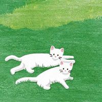 关于青春的插画|青春语录插画