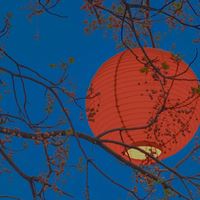 让人一看就爱上的头像（让人难忘的头像）