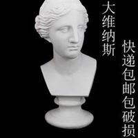 斯维因头像-维纳斯头像