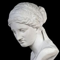 斯维因头像-维纳斯头像