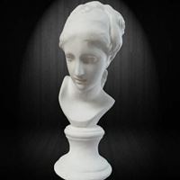 斯维因头像-维纳斯头像