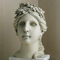 斯维因头像-维纳斯头像