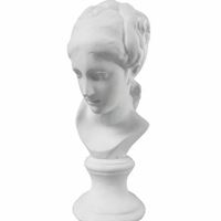 斯维因头像-维纳斯头像