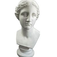 斯维因头像-维纳斯头像