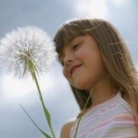 蒲公英微信头像图片唯美 蒲公英头像图片大全