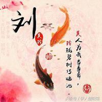 用锦鲤当头像好吗_用锦鲤当头像的人