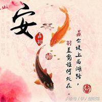 用锦鲤当头像好吗_用锦鲤当头像的人