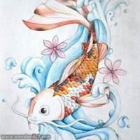 用锦鲤当头像好吗_用锦鲤当头像的人