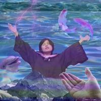 用锦鲤当头像好吗_用锦鲤当头像的人