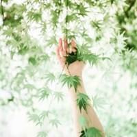 给人带来好运的头像有哪些-给自己带来好运的头像