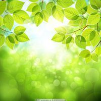 绿色植物树木森林的微信头像_绿色树木微信头像图片