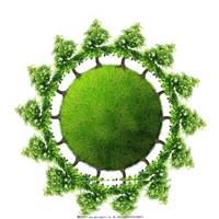 绿色植物树木森林的微信头像_绿色树木微信头像图片