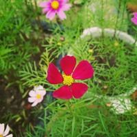 转运的图片 头像 可以转运的微信头像图片 风景