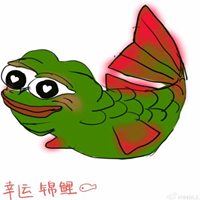 锦鲤图片微信头像 锦鲤 头像