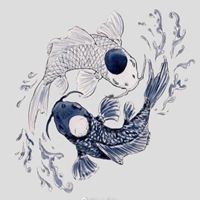 可爱锦鲤头像图片（锦鲤图片动漫唯美高清）