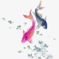 可爱锦鲤头像图片（锦鲤图片动漫唯美高清）