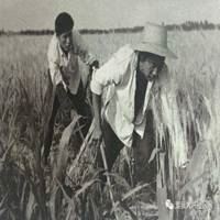 很有年代感的头像|90年代经典头像