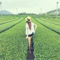 绿色背景女生背影头像-灰色头像图片 背影