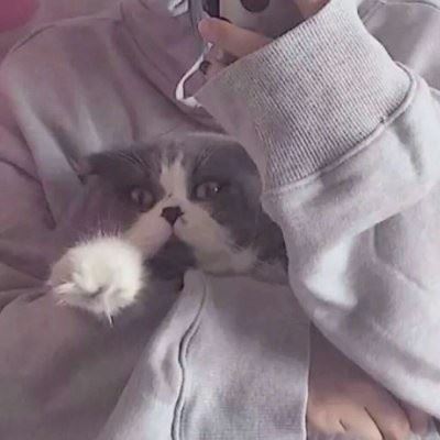 闺蜜头像两人部位-女生闺蜜头像两张2人