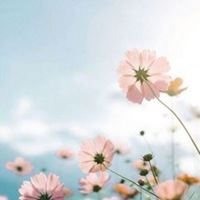 好看流行的微信头像|微信头像 唯美时尚