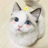 好看的微信头像动物（微信头像小动物）