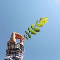 清新淡雅的微信头像 唯美|微信头像简约干净 唯美