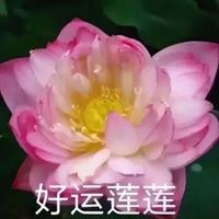 适合40岁父亲的微信头像高清_适合40岁父亲的微信头像风景