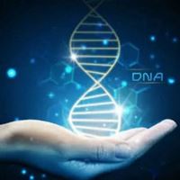 生物课代表专用头像-生物老师头像