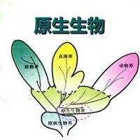 生物课代表专用头像-生物老师头像