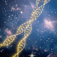 生物课代表专用头像-生物老师头像