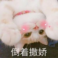 很好看的头像女生头像（特好看的女生头像）